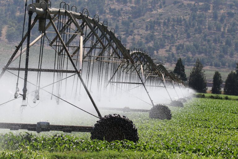 Sistemas de riego. Riego mediante pivot en cultivo de regadio.