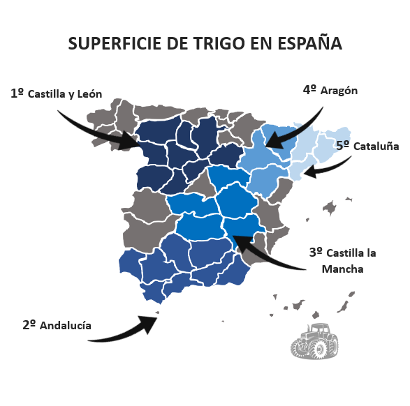 Superficie de trigo en España por provincias y comunidades autónomas.