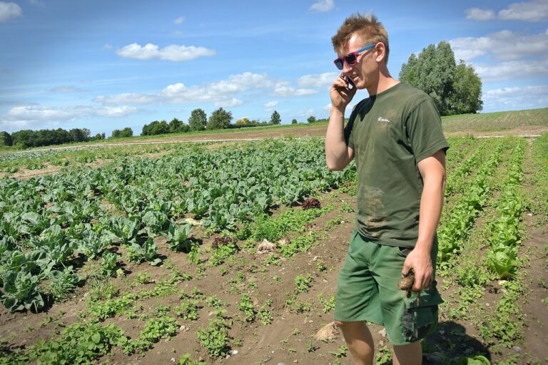 Agricultor - UTA -Unidad de Trabajo Agrario. Como comprar derechos PAC