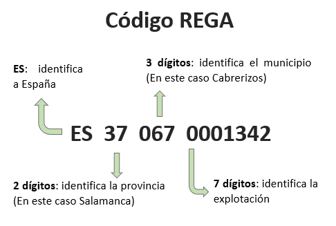 Código REGA contiene 14 dígitos correspondientes a España, la provincia, municipio y la explotación