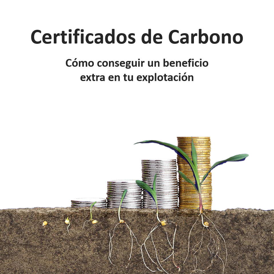 Certificados de carbono agrícola