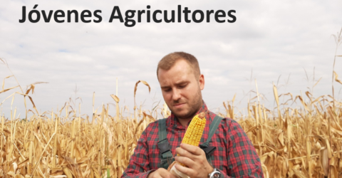 Ayudas a jóvenes agricultores