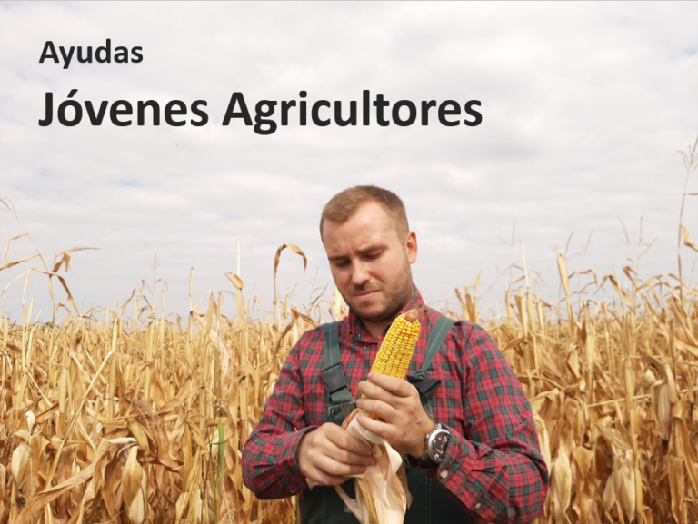 Ayudas a jóvenes agricultores