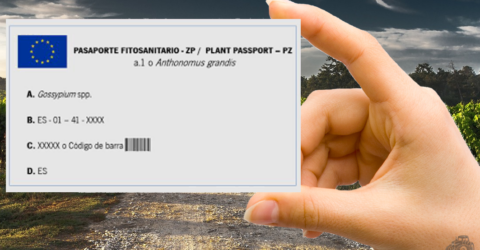 Pasaporte fitosanitario para productos vegetales, comercialización de vegetales fuera de España y dentro.
