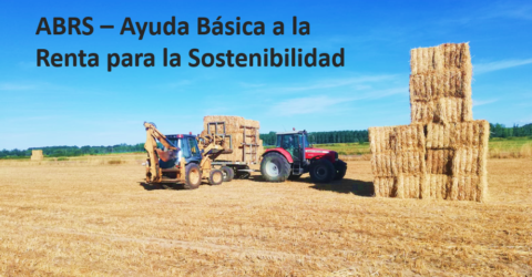 ABRS - Ayuda Básica a la Renta para la Sostenibilidad.