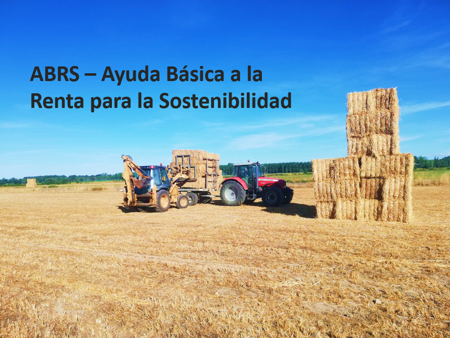 ABRS - Ayuda Básica a la Renta para la Sostenibilidad.