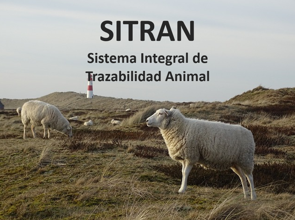 SITRAN - Sistema Integral de Trazabilidad Animal