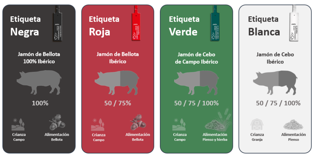 Etiquetas Jamón Ibérico, los cuatro colores del jamón ibérico: jamón etiqueta negra, jamón etiqueta roja, jamón etiqueta verde y jamón etiqueta blanca