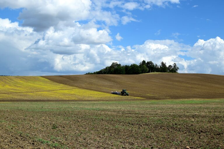 Tierra en BARBECHO, labrada por un tractor