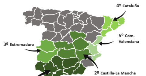 Superficie Olivar en España. Mapa olivos España. Mapa el olivar