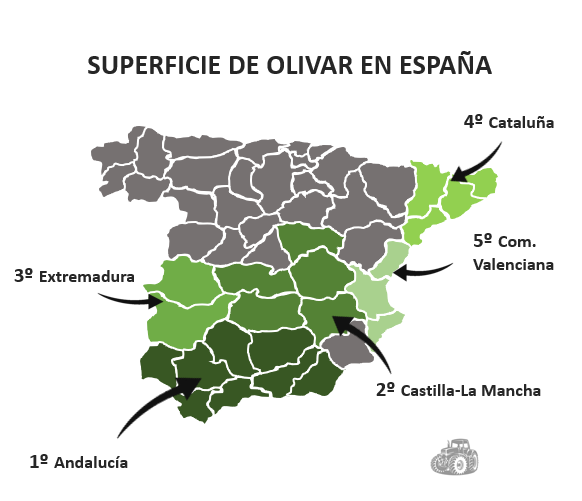 Superficie Olivar en España. Mapa olivos España. Mapa el olivar