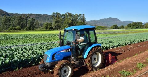 Tipos de tractores agrícola. Tractor frutero