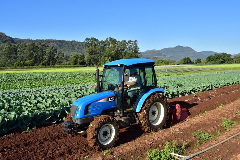 Tipos de tractores agrícola. Tractor frutero