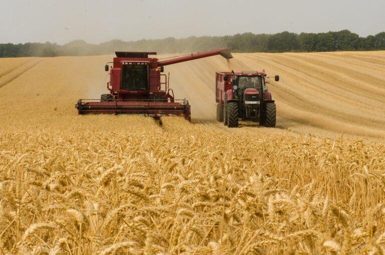 Agricultura en Monocultivo. Diferencias entre monocultivo y policultivo. Cultivos de secano en Andalucía. Marca de tractor Case IH.