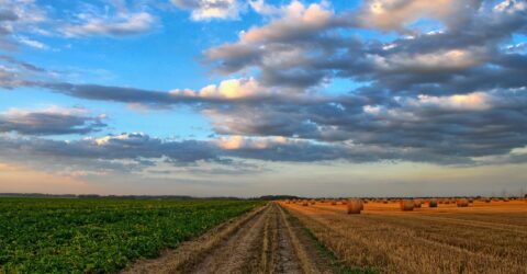 Tipos de Agricultura en España