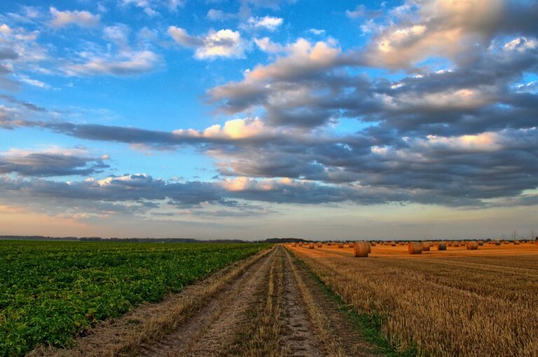 Tipos de Agricultura en España