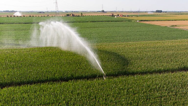 imágenes de agricultura de regadío