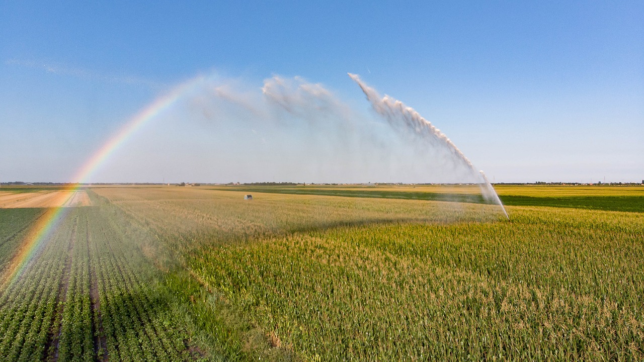 Tipos de cultivos agrícolas - Duroagro – Duroagro