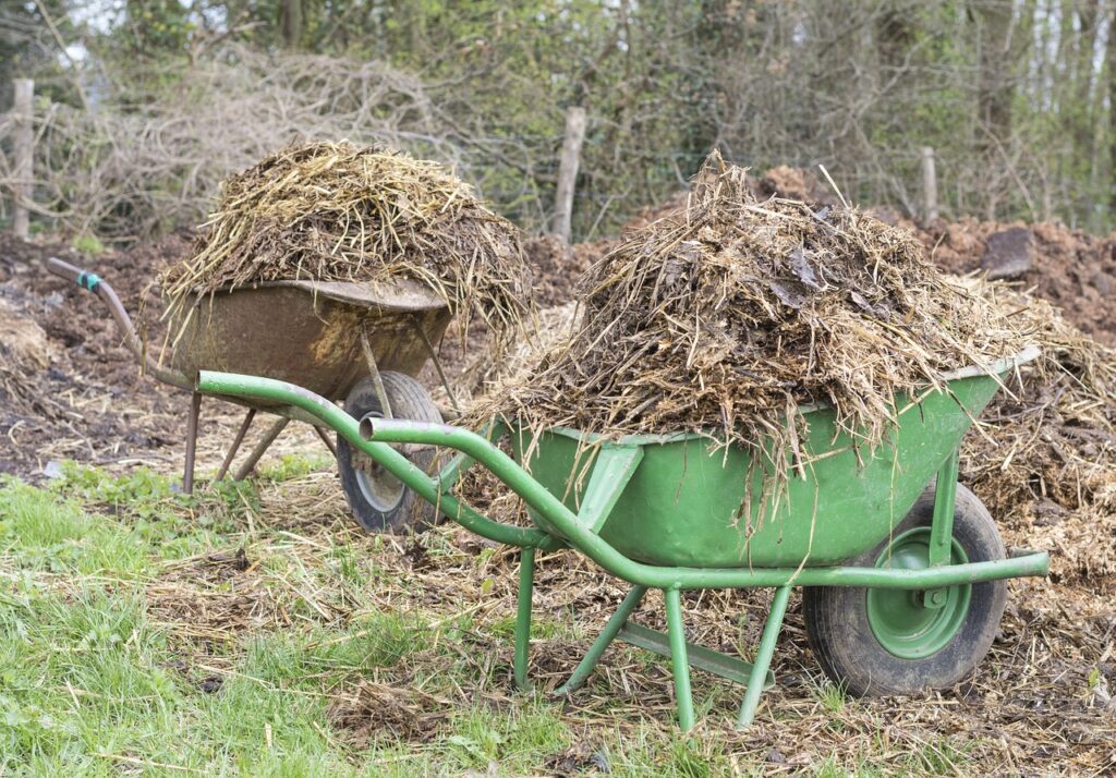 Agricultura biodinámica. Estiércol