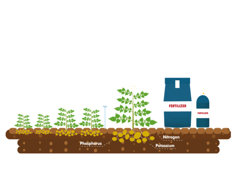 Fertilizantes quimicos. Qué son y las ventajas y desventajas de los fertilizantes químicos y abonos.