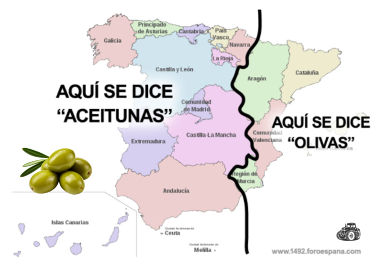 Diferencia entre olivas y aceitunas. Oliva o aceituna