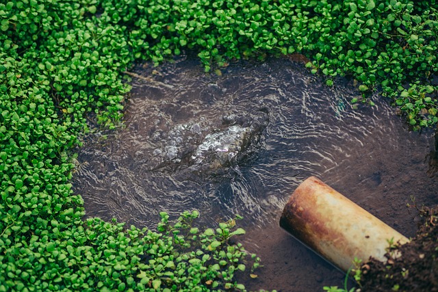 riego inundación